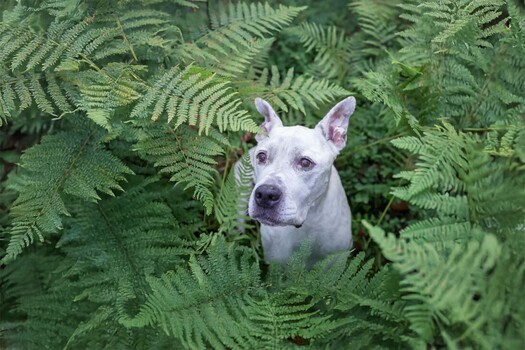 Newest Photo 4
Uploaded 2 days ago