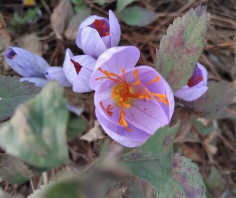 Newest Photo 3
Uploaded 6 hours ago