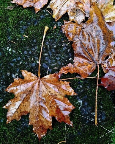 Newest Photo 2
Uploaded 6 hours ago