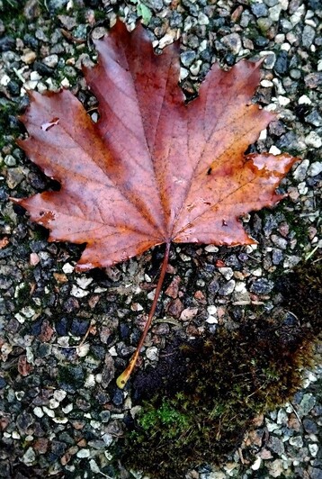 Newest Photo 1
Uploaded 6 hours ago