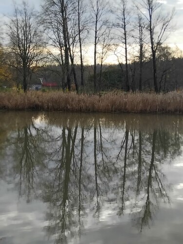 Newest Photo 3
Uploaded 3 days ago