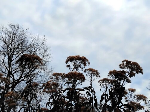 Newest Photo 2
Uploaded 3 days ago