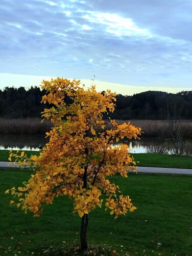 Newest Photo 1
Uploaded 3 days ago