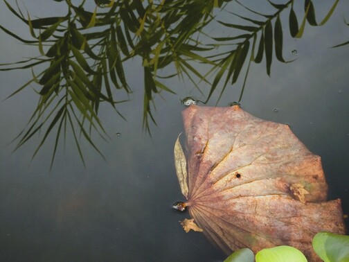 Newest Photo 4
Uploaded 5 days ago