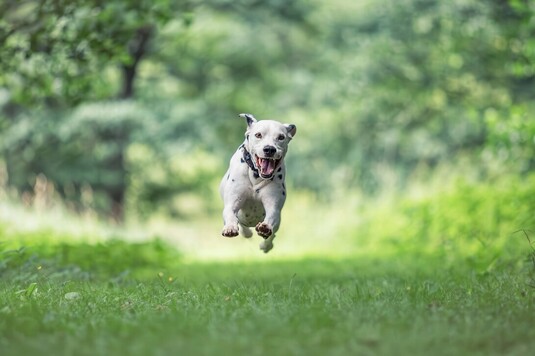 Newest Photo 1
Uploaded 12 hours ago