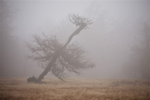 Newest Photo 5
Uploaded 1 week ago