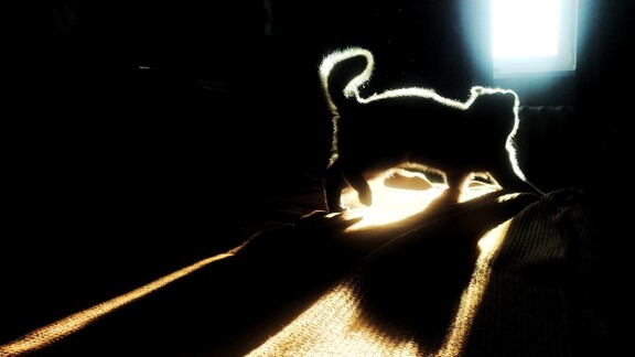 Newest Photo 1
Uploaded 2 days ago