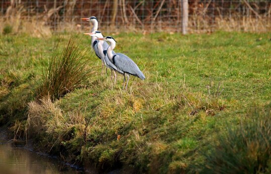 Newest Photo 1
Uploaded 6 hours ago