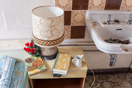 Newest Photo 4
Uploaded 23 hours ago