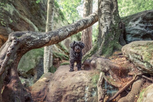 Newest Photo 1
Uploaded 21 hours ago