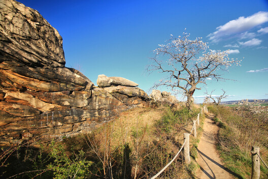 Newest Photo 1
Uploaded 10 hours ago