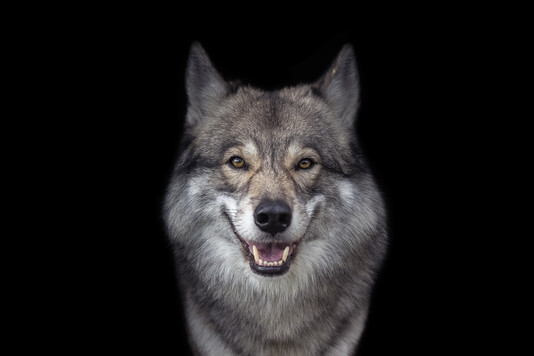 Newest Photo 1
Uploaded 23 hours ago